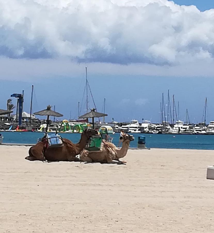Hostal O Pension Descanso Y Relax Puerto del Rosario (Fuerteventura) Ngoại thất bức ảnh