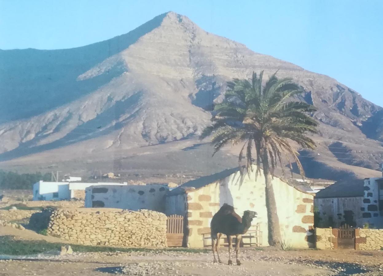 Hostal O Pension Descanso Y Relax Puerto del Rosario (Fuerteventura) Ngoại thất bức ảnh